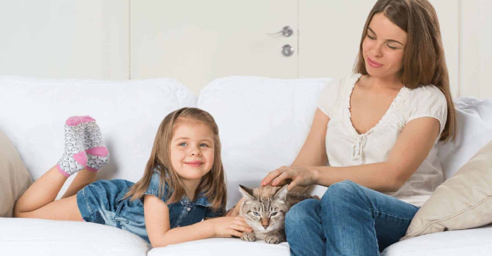 Cattylicious - Is my cat pregnant (1)
