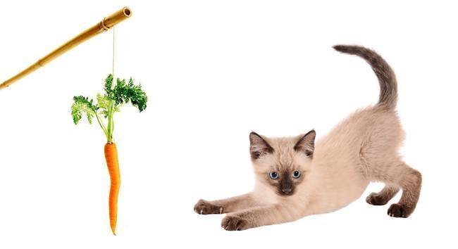 carrot-and-stick
