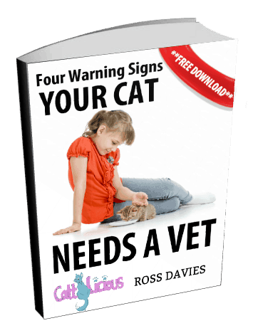 four-warning-signs